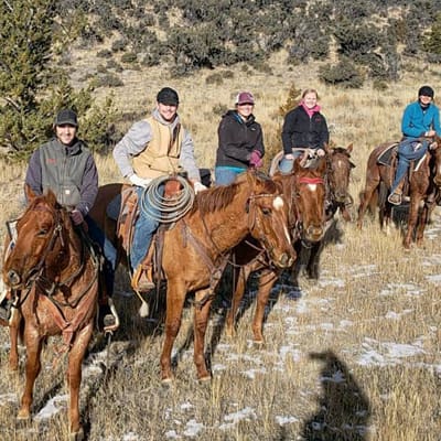 Montana Western Announces 2019 Colt Challenge and Sale | University of ...